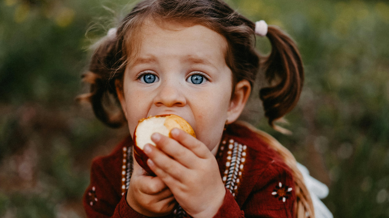 5 Best Foods to Support Gut Health