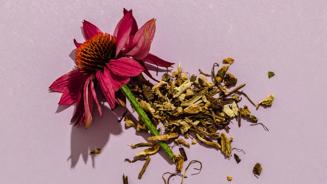 Supporting Immunity with Elderberry, Echinacea, and Zinc: Remedies for Common Cold and Upper Respiratory Relief