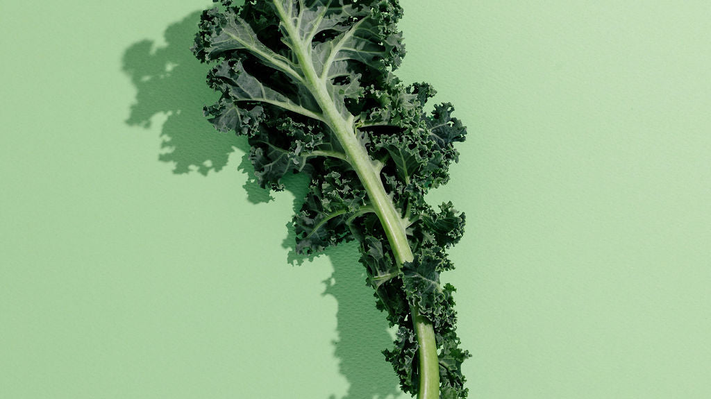 Leucovorin (Folinic Acid): What It Is, Research, and Why It Matters for Kids’ Nutrition