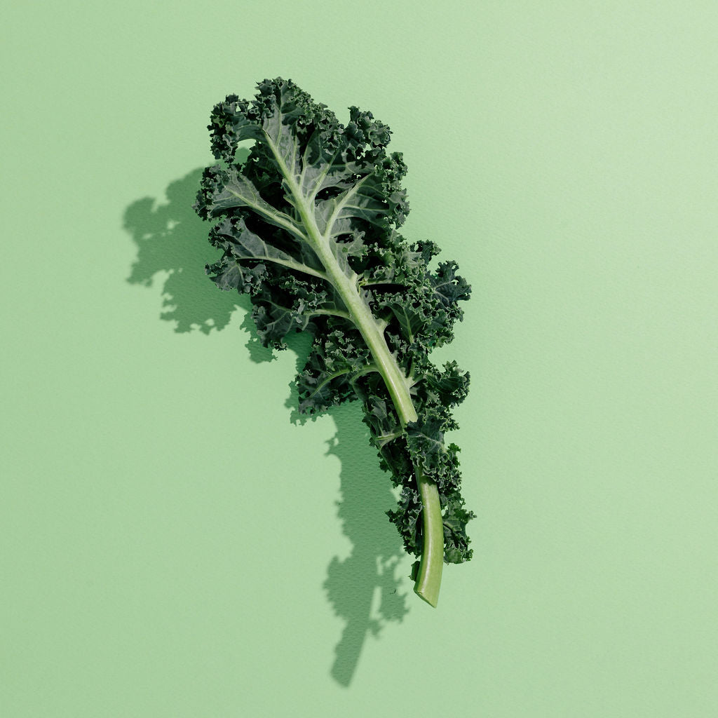 kale image on green background 